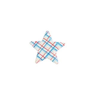 Patriotic Star Magnet