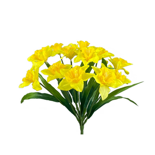Daffodil Bush