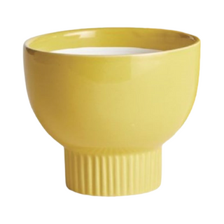 Yellow Solita Pot