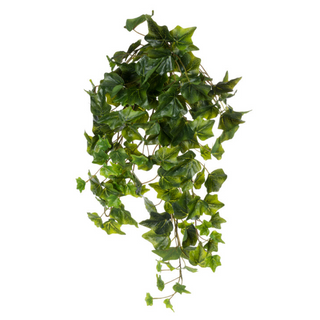 Green Hanging Ivy Varigated, 28"