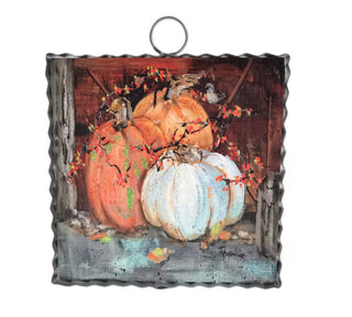 Mini Rozie’s Barn Pumpkins