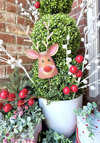 Snowy Rudolph