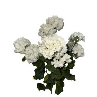 White Geranium Spray