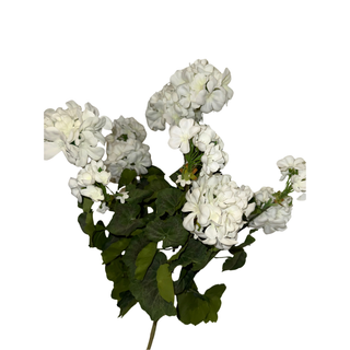 White Geranium Spray