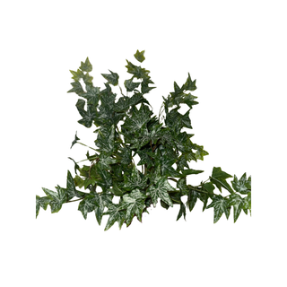 Small Frosted Ivy Pick