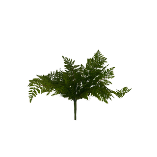 Leather Fern Bush - Soft Touch