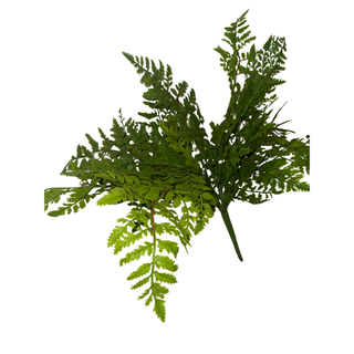 Leather Fern Bush - Soft Touch