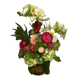 Blushing Garden Orchid Drop-In Arrangement