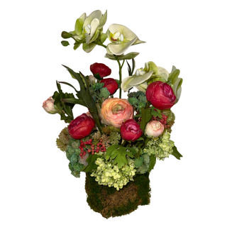 Blushing Garden Orchid Drop-In Arrangement