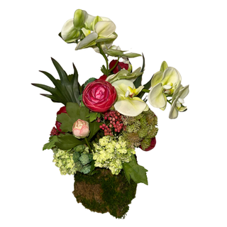 Blushing Garden Orchid Drop-In Arrangement