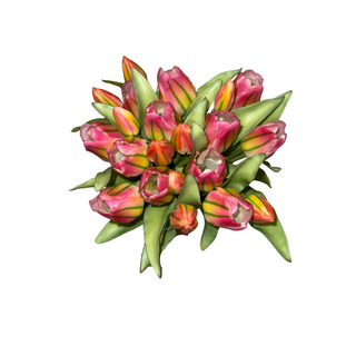 Green Pink Tulip Bundle