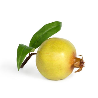 Pomegranate with Leaf Green