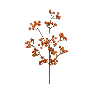 Orange Berry Spray