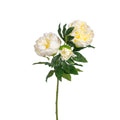 Real Touch Peony X2, Cream, 32"