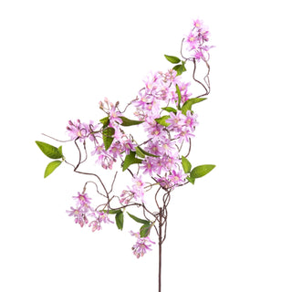 Lavender Wild Flower