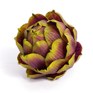 Burgundy Artichoke, Small