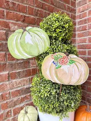 Beck’s Autumn Feast Pumpkin