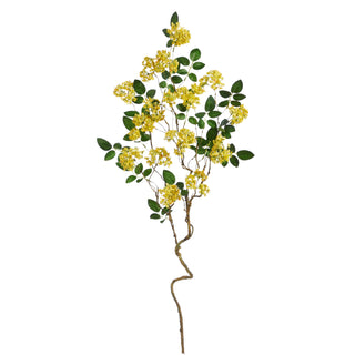 Yellow Blossom Branch