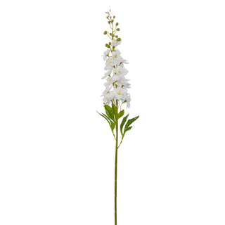 White Delphinium Stem