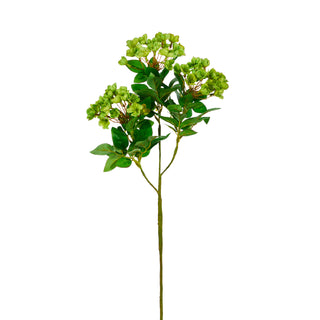 Spring Green Bloom Stem