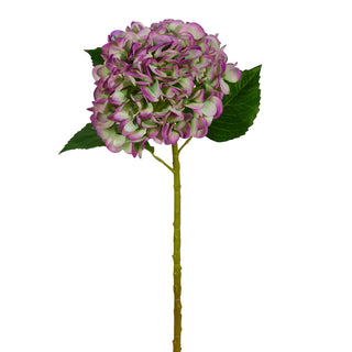 Real Touch Green and Purple Hydrangea Stem, 19"