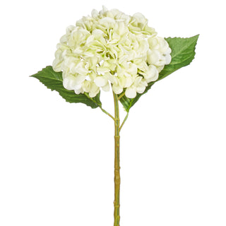 Real Touch Light Green Hydrangea Stem