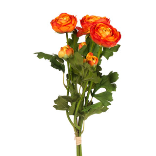 Ranunculus Bundle, Orange