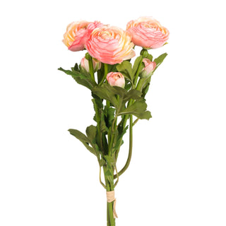 Ranunculus Bundle, Pink