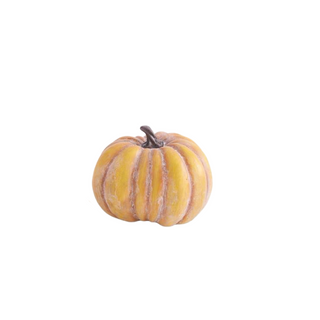 Traditional Fall Pumpkin