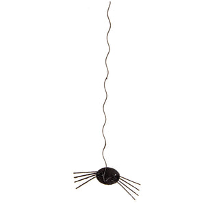 Spider Hanging