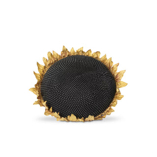 Sunflower Head