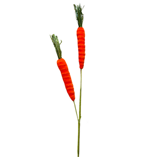 Orange Carrot Spray