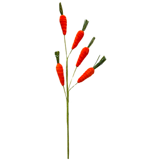 Orange and Green Carrot Spray