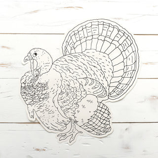 Color Turkey Placemat Set