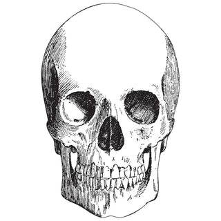 Skull Placemat Set