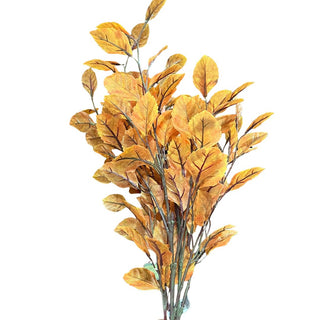 Beech Leaf Bundle, 34"