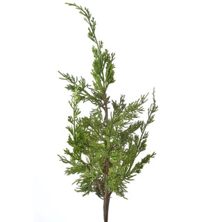 Just Cut Cedar Spray