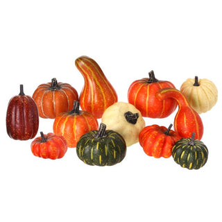 Mixed Harvest Pumpkin Gourds Set