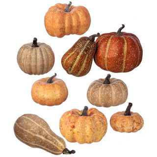 Mixed Pumpkin Assortment Set