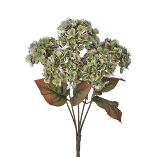 17" Green Hydrangea Bush