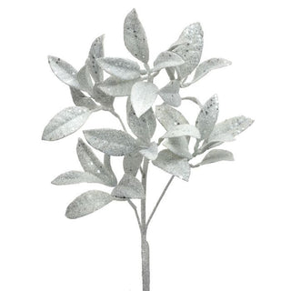 Glitter Pittosporum Spray