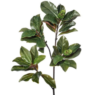 Grand Magnolia Leaf Branch with Pods Spray