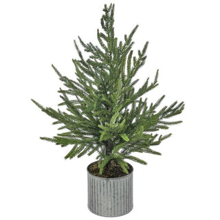 Potted Natural Touch Norfolk Pine Tree, 28"