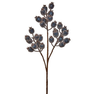 Blue Icy Pomegranate Berry Spray