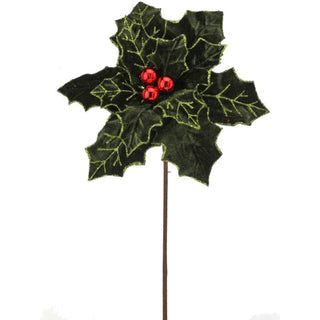 Green Royalty Poinsettia Stem