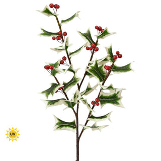 Variegated Fresh Cut Holly Spray