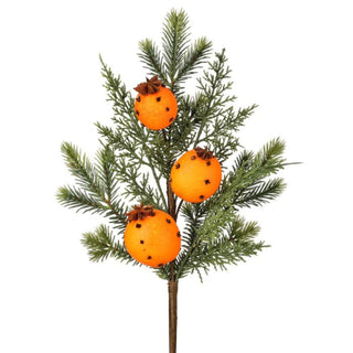 Evergreen with Orange Clove Pick, 18"