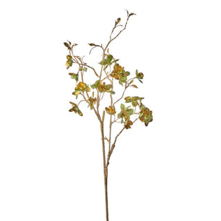 Green and Gold Winter Dogwood Spray