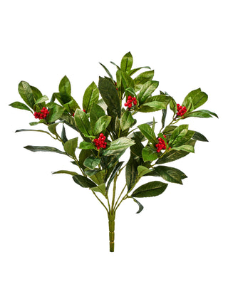 Laurel Bush with Dusted Edge Spray