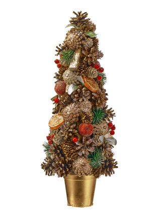 Southern Potted Fruit Cone Tree